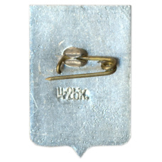 Значок Старая Русса (вид 2)