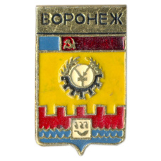 Значок Воронеж