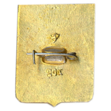 Значок Юрьев (вид 2)