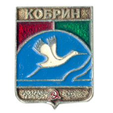 Значок Кобрин
