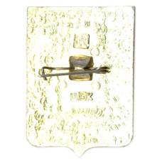 Значок Бельцы (вид 2)