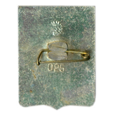 Значок Джанкой (вид 2)