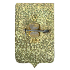 Значок Грозный (вид 2)