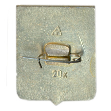 Значок Юрьев (вид 2)