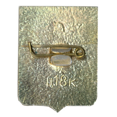 Значок Нежин (вид 2)