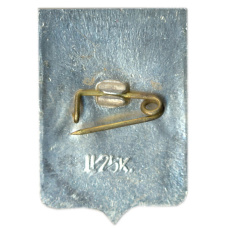 Значок Старая Русса (вид 2)