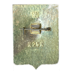 Значок Николаев (вид 2)