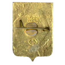 Значок Бийск (вид 2)