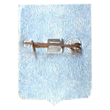 Значок Шацк (вид 2)