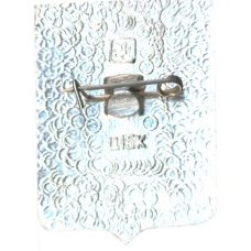 Значок Новомосковск (вид 2)