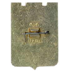 Значок Пятигорск (вид 2)