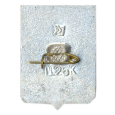 Значок Черновцы (вид 2)