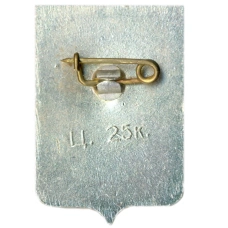 Значок Старая Русса (вид 2)