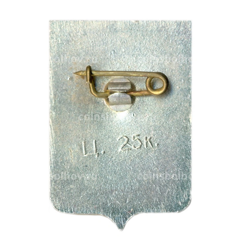 Значок Старая Русса (вид 2)