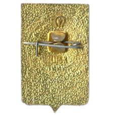 Значок Воронеж (вид 2)