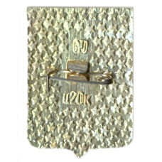 Значок Верхнеднепровск (вид 2)