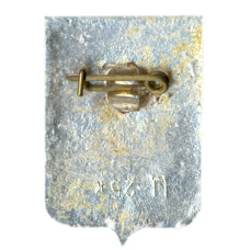 Значок Кострома (вид 2)