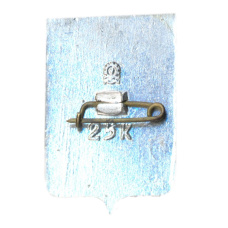 Значок Новосибирск (вид 2)