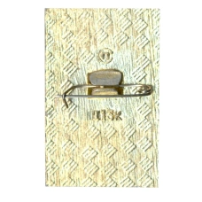 Значок Горький (вид 2)