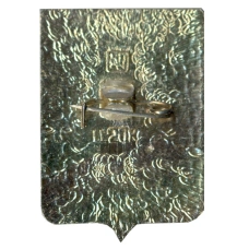 Значок Слоним (вид 2)