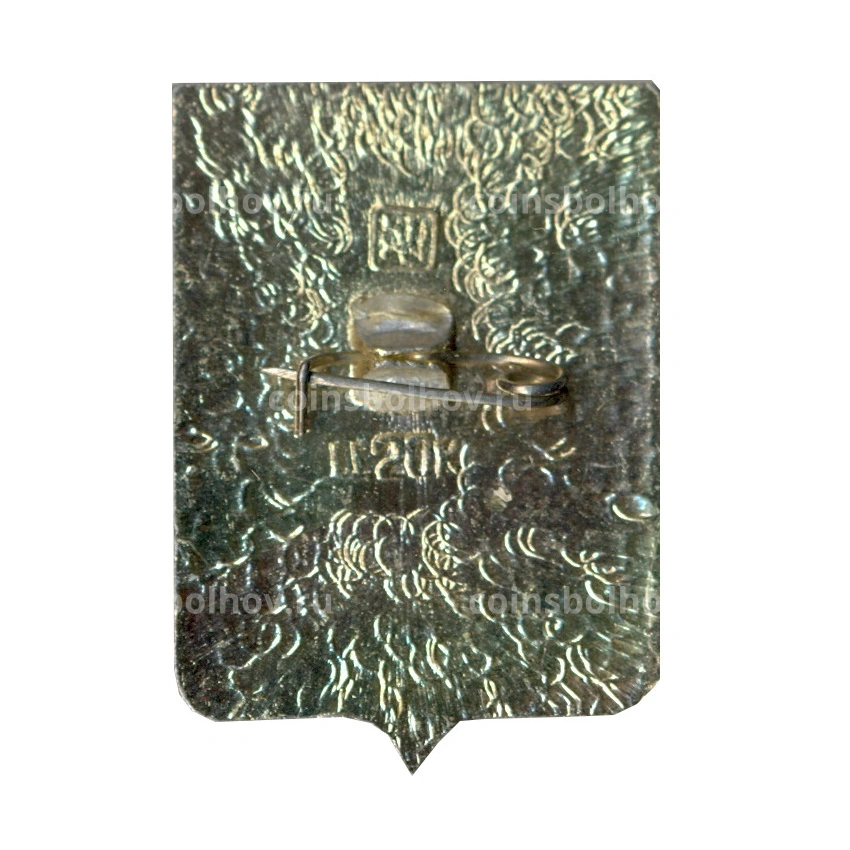 Значок Слоним (вид 2)