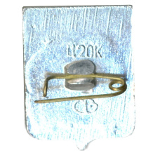 Значок Камышин (вид 2)