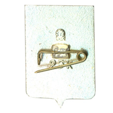 Значок Новосибирск (вид 2)