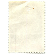 Марка «Международные полеты в космос «СССР-Чехословакия» 1978 год (вид 2)