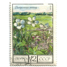 Марка «Ветреница лесная» 1975 год