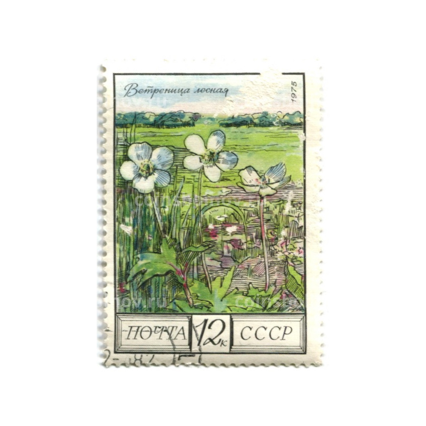 Марка «Ветреница лесная» 1975 год