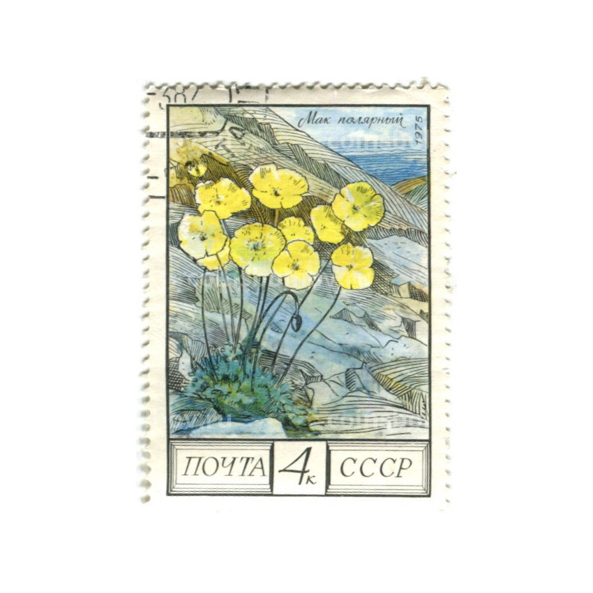 Марка «Мак Полярный» 1975 год
