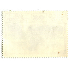 Марка «Охраняемые млекопитающие фауны СССР — Морж» 1977 год (вид 2)