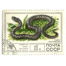 Марка «Ядовитые змеи — Гадюка обыкновенная» 1977 год