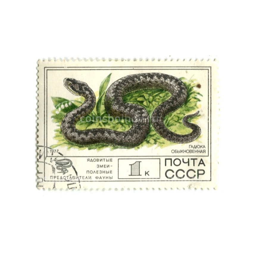Марка «Ядовитые змеи — Гадюка обыкновенная» 1977 год