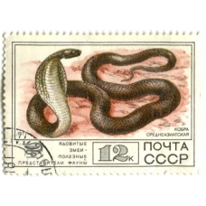 Марка «Ядовитые змеи — Кобра среднеазиатская» 1977 год
