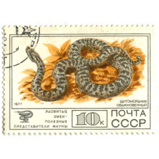 Марка «Ядовитые змеи — Щитомордник обыкновенный» 1977 год