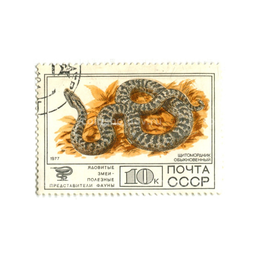 Марка «Ядовитые змеи — Щитомордник обыкновенный» 1977 год