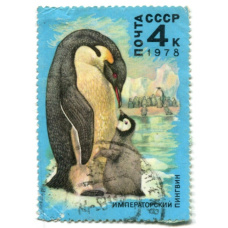 Марка «Пингвин императорский» 1978 год