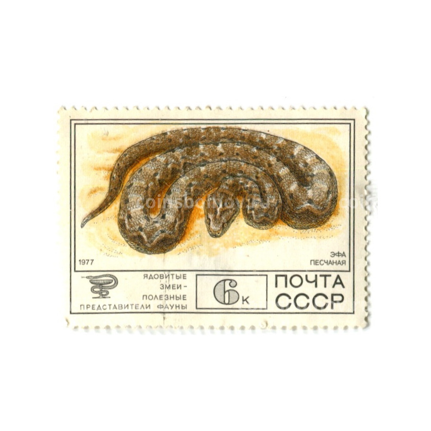 Марка «Ядовитые змеи — Эфа песчаная» 1977 год