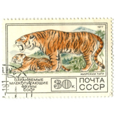 Марка «Охраняемые млекопитающие фауны СССР — Морж» 1977 год