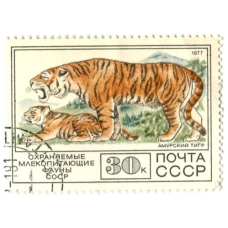 Марка «Охраняемые млекопитающие фауны СССР — Морж» 1977 год