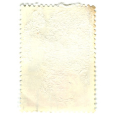 Марка « 60 лет Московскому электротехническому институту связи» 1981 год (вид 2)