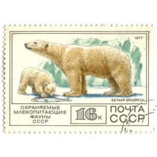 Марка «Охраняемые млекопитающие фауны СССР — Белый медведь» 1977 год