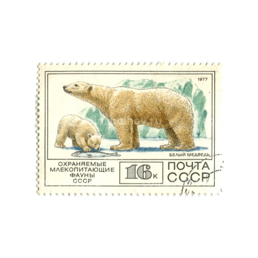 Марка «Охраняемые млекопитающие фауны СССР — Белый медведь» 1977 год