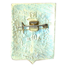 Значок Острогожск (вид 2)