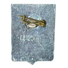 Значок Крестцы (вид 2)