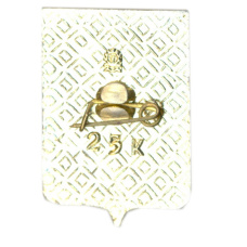 Значок Таганрог (вид 2)