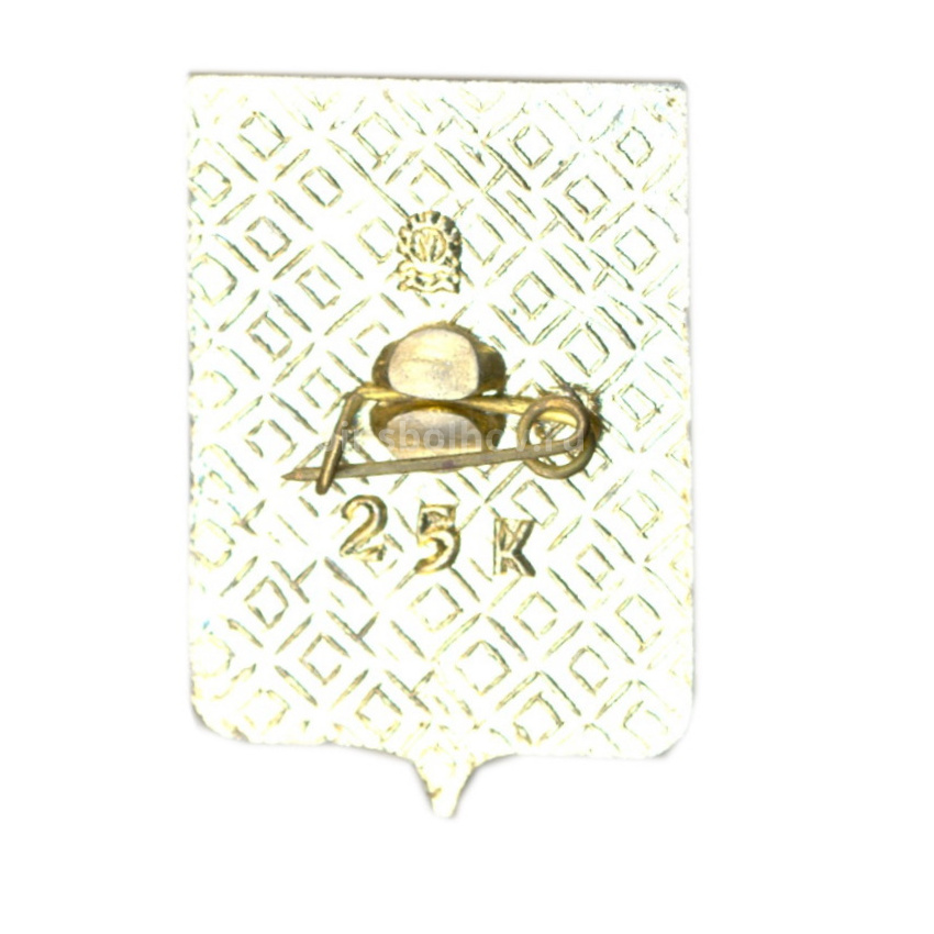 Значок Таганрог (вид 2)