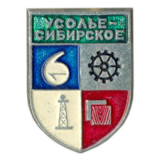 Значок Усолье-Сибирское