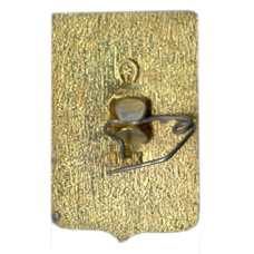 Значок Краснодар (вид 2)